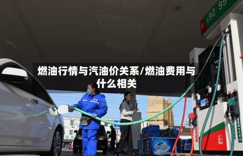 燃油行情与汽油价关系/燃油费用与什么相关