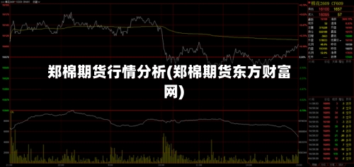 郑棉期货行情分析(郑棉期货东方财富网)-第1张图片