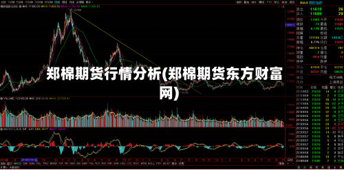 郑棉期货行情分析(郑棉期货东方财富网)-第2张图片
