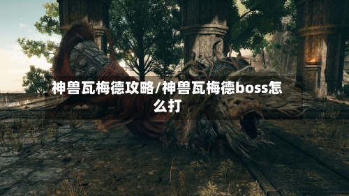 神兽瓦梅德攻略/神兽瓦梅德boss怎么打-第1张图片