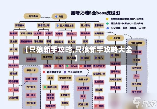 【只狼新手攻略,只狼新手攻略大全】