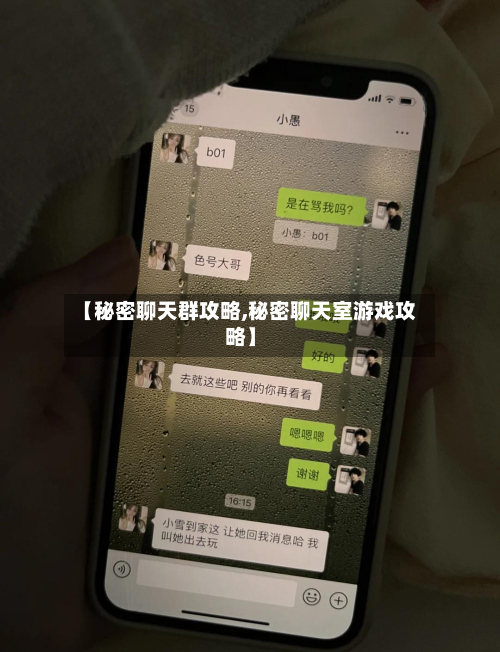 【秘密聊天群攻略,秘密聊天室游戏攻略】