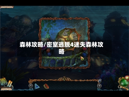 森林攻略/密室逃脱4迷失森林攻略-第2张图片