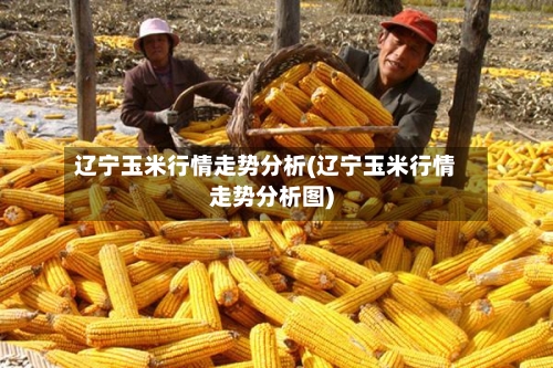 辽宁玉米行情走势分析(辽宁玉米行情走势分析图)-第3张图片