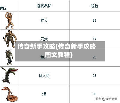 传奇新手攻略(传奇新手攻略图文教程)-第2张图片