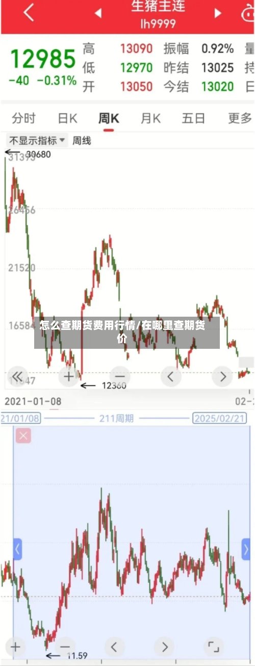 怎么查期货费用行情/在哪里查期货价