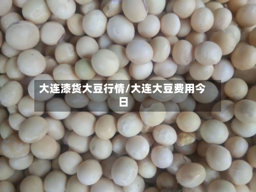 大连漆货大豆行情/大连大豆费用今日-第2张图片