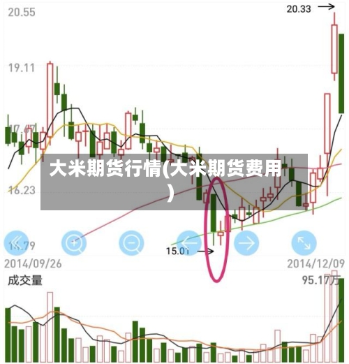 大米期货行情(大米期货费用)