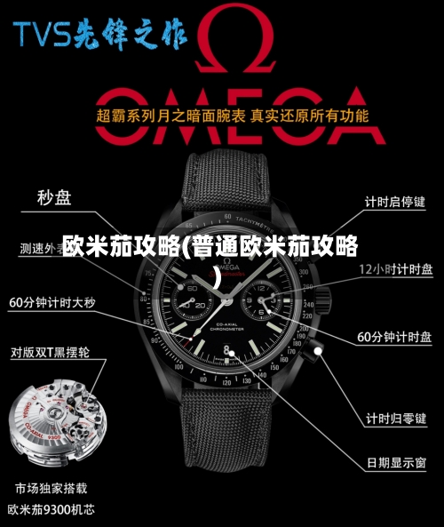欧米茄攻略(普通欧米茄攻略)-第2张图片