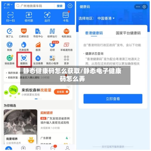 静态健康码怎么获取/静态电子健康码怎么弄-第1张图片