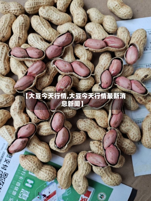 【大豆今天行情,大豆今天行情最新消息新闻】-第2张图片