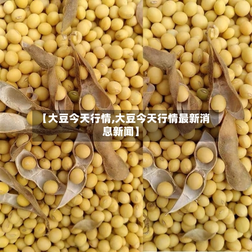 【大豆今天行情,大豆今天行情最新消息新闻】