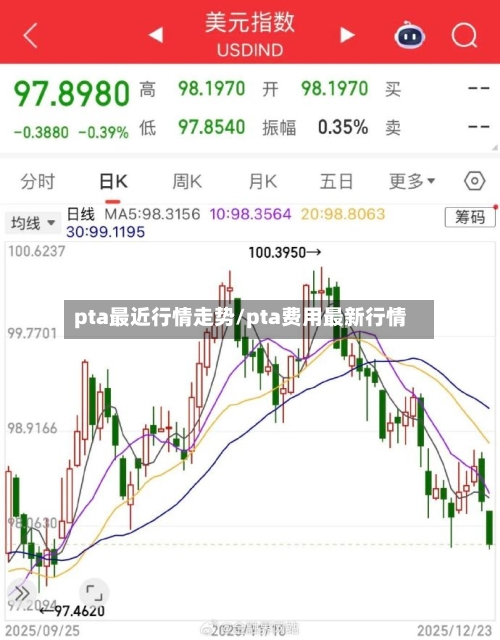 pta最近行情走势/pta费用最新行情-第2张图片