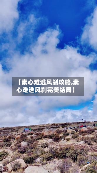 【素心难逃风刹攻略,素心难逃风刹完美结局】