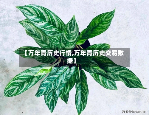 【万年青历史行情,万年青历史交易数据】-第2张图片