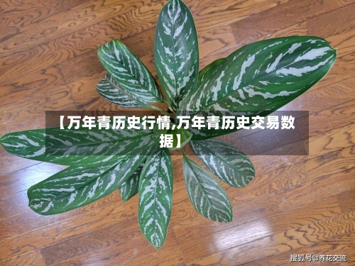 【万年青历史行情,万年青历史交易数据】-第3张图片