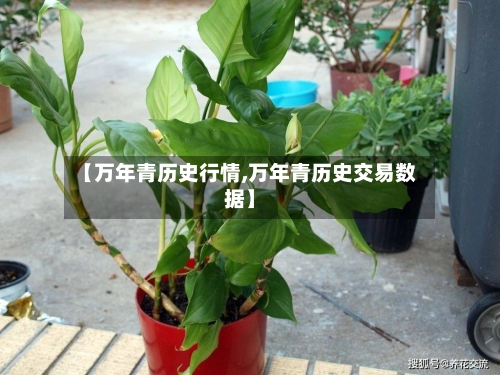 【万年青历史行情,万年青历史交易数据】