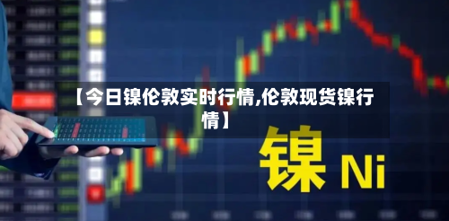 【今日镍伦敦实时行情,伦敦现货镍行情】-第3张图片