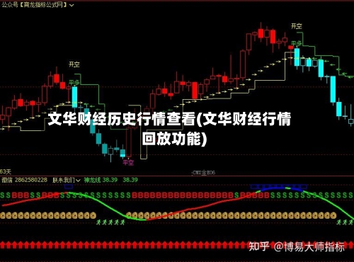 文华财经历史行情查看(文华财经行情回放功能)