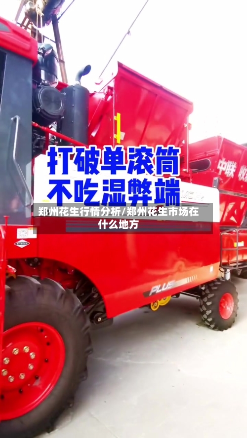 郑州花生行情分析/郑州花生市场在什么地方