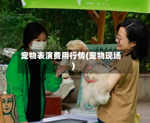 宠物表演费用行情(宠物现场)-第2张图片