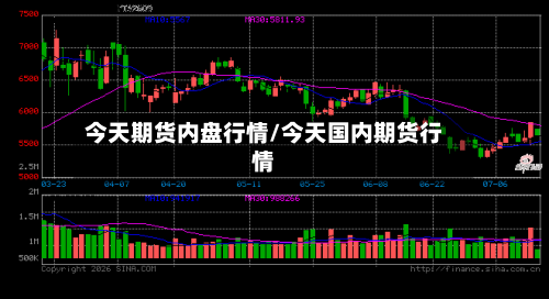 今天期货内盘行情/今天国内期货行情