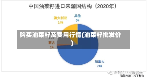 购买油菜籽及费用行情(油菜籽批发价)-第2张图片