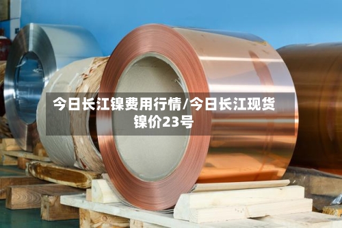 今日长江镍费用行情/今日长江现货镍价23号-第2张图片