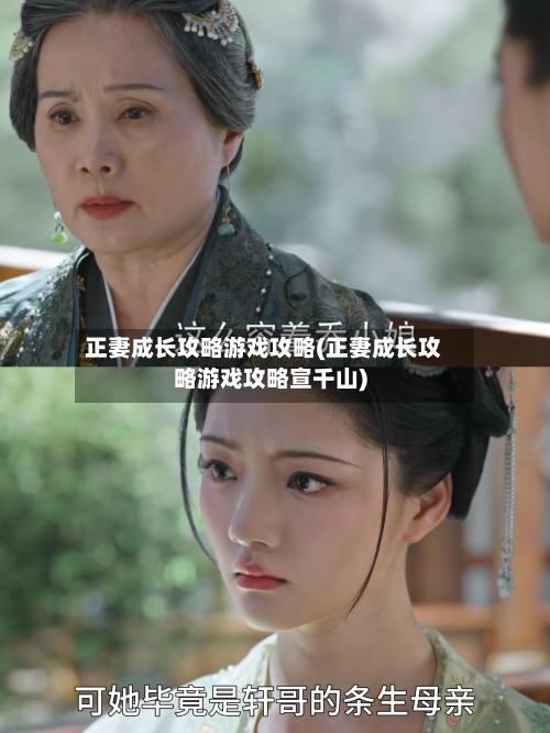 正妻成长攻略游戏攻略(正妻成长攻略游戏攻略宣千山)-第2张图片