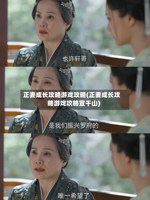 正妻成长攻略游戏攻略(正妻成长攻略游戏攻略宣千山)