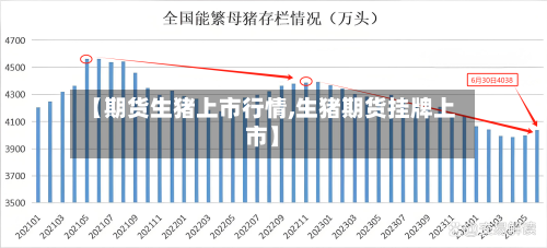 【期货生猪上市行情,生猪期货挂牌上市】