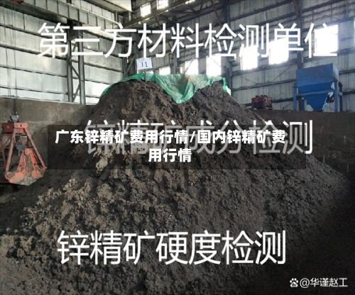 广东锌精矿费用行情/国内锌精矿费用行情-第2张图片