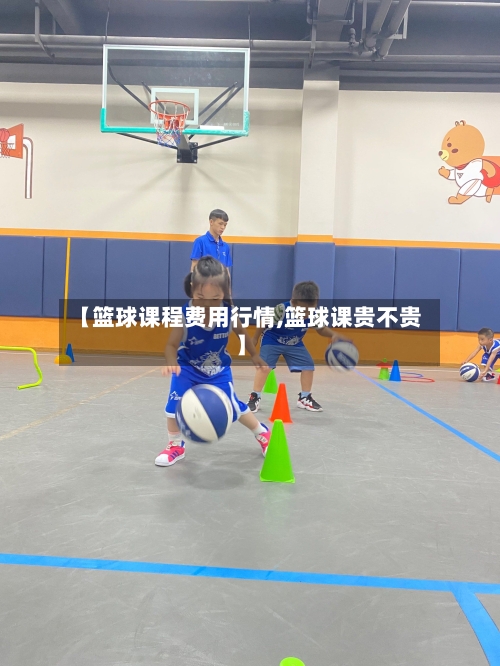 【篮球课程费用行情,篮球课贵不贵】-第2张图片