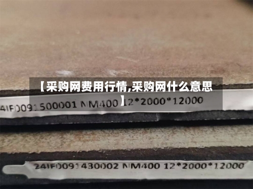 【采购网费用行情,采购网什么意思】