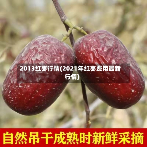 2013红枣行情(2021年红枣费用最新行情)-第2张图片