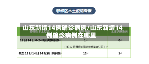 山东新增14例确诊病例/山东新增14例确诊病例在哪里-第3张图片