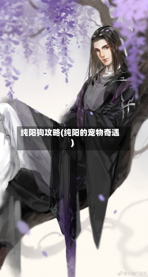 纯阳狗攻略(纯阳的宠物奇遇)-第3张图片