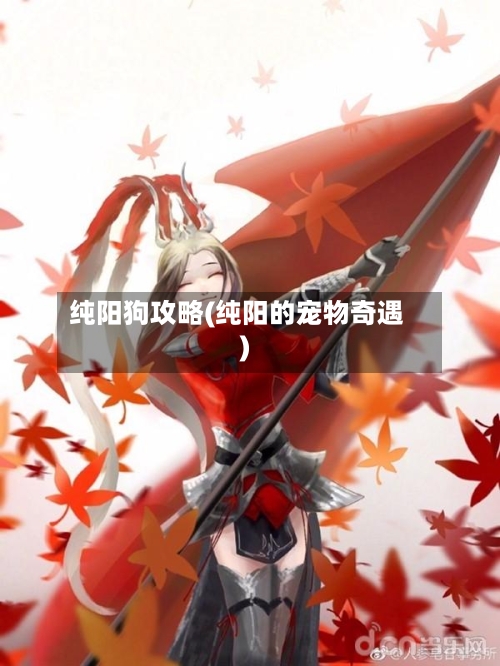 纯阳狗攻略(纯阳的宠物奇遇)-第1张图片