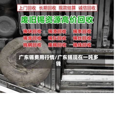 广东锡费用行情/广东锡现在一吨多钱