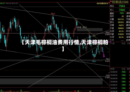 【天津毛棕榈油费用行情,天津棕榈粕】-第2张图片