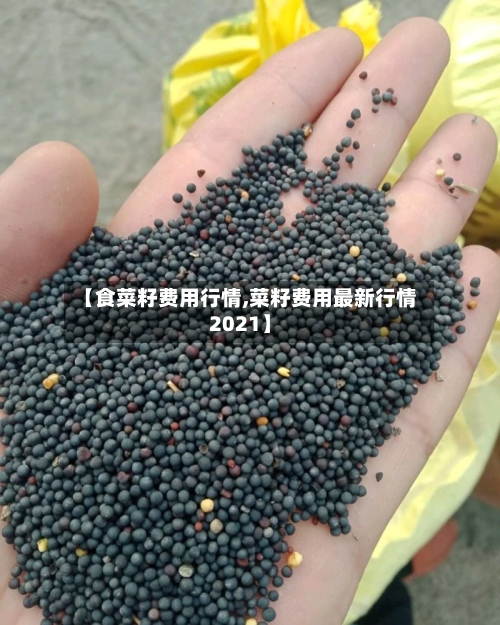 【食菜籽费用行情,菜籽费用最新行情2021】