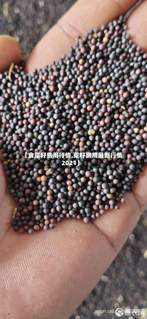 【食菜籽费用行情,菜籽费用最新行情2021】-第2张图片