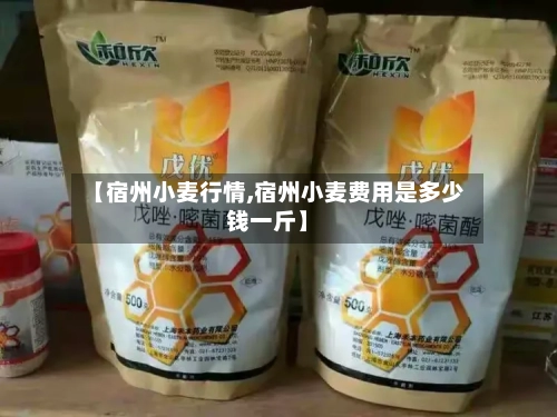 【宿州小麦行情,宿州小麦费用是多少钱一斤】-第3张图片