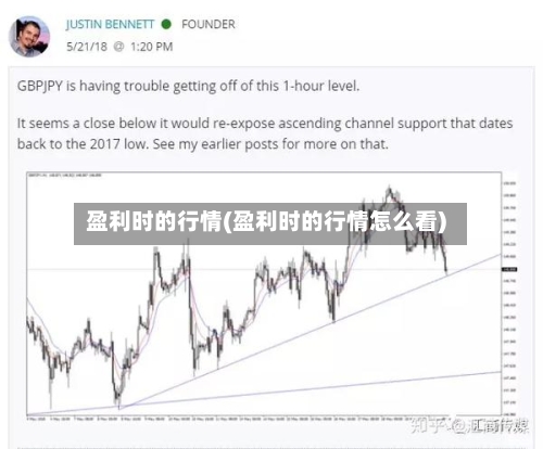 盈利时的行情(盈利时的行情怎么看)