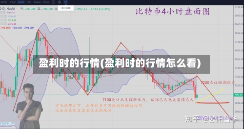 盈利时的行情(盈利时的行情怎么看)-第2张图片