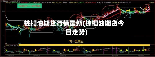 棕榈油期货行情最新(棕榈油期货今日走势)-第2张图片