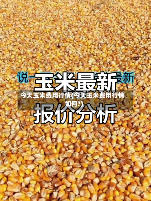 今天玉米费用行情(今天玉米费用行情如何?)