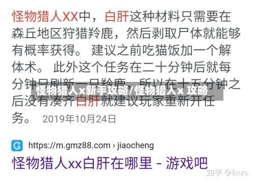 怪物猎人x新手攻略/怪物猎人x 攻略