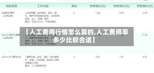 【人工费用行情怎么算的,人工费用率多少比较合适】-第1张图片