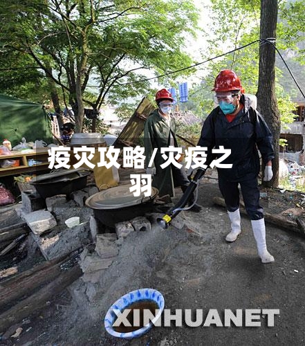 疫灾攻略/灾疫之羽
